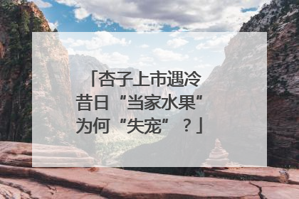 杏子上市遇冷 昔日“当家水果”为何“失宠”？